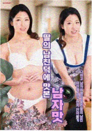 日常治愈标本《薄荷与刀》封面压片，展示柔和色调与更新花期